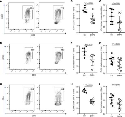 BMP4 Moderates Glycolysis and Regulates Activation and Interferon-Gamma Production in CD4+ T Cells